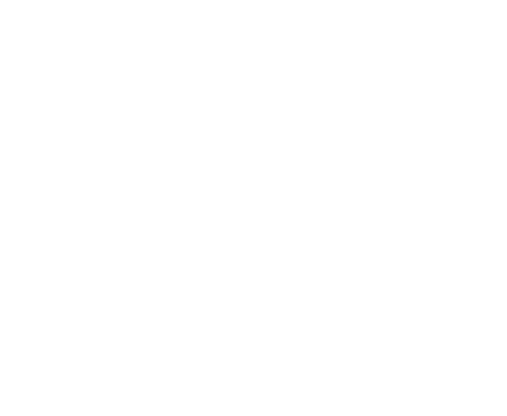 Contenido Bloque 2